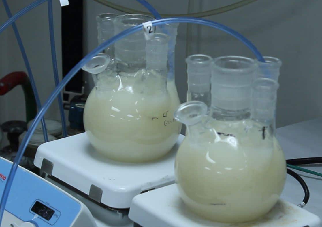 Can MCI Fight Microbial Induced Corrosion in Concrete 